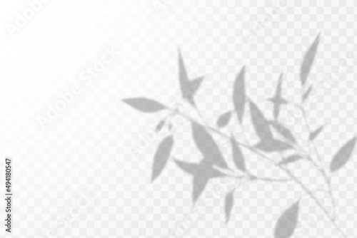 Realistic shadow tropical leaves and branches on transparent checkered background. The effect of overlaying shadows. Natural light layout.