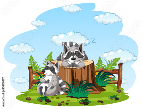 Scene with two raccoon sleeping in park