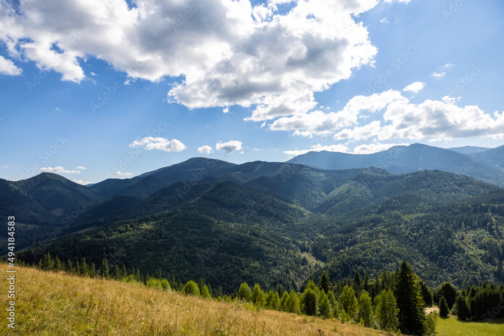 Beautiful mountain landscape with meadow and forest on sunny day