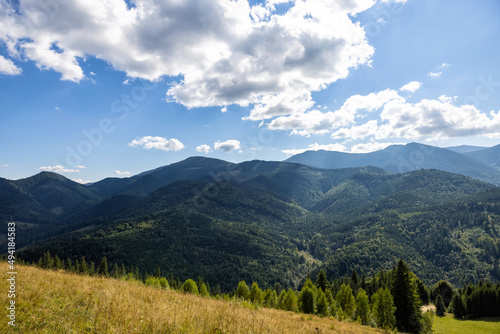 Beautiful mountain landscape with meadow and forest on sunny day