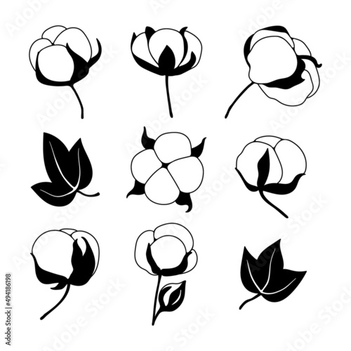 Hand drawn cotton balls collection