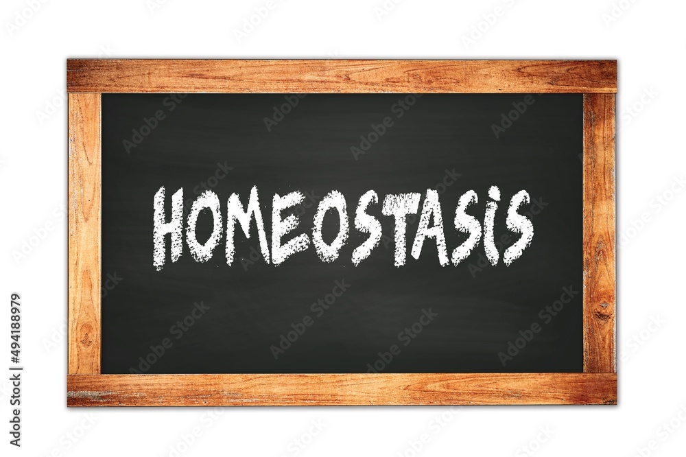 HOMEOSTASIS text written on wooden frame school blackboard.