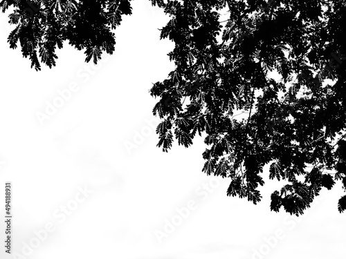 black and white background