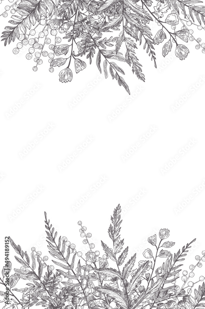 Fern Vintage Monochrome Background Frame