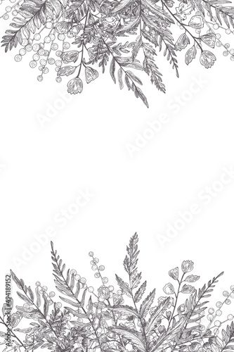 Fern Vintage Monochrome Background Frame