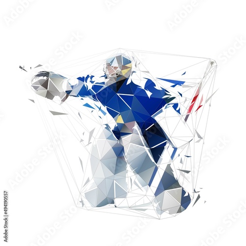Photography Ice hockey goalie, isolated low polygonal vector illustration