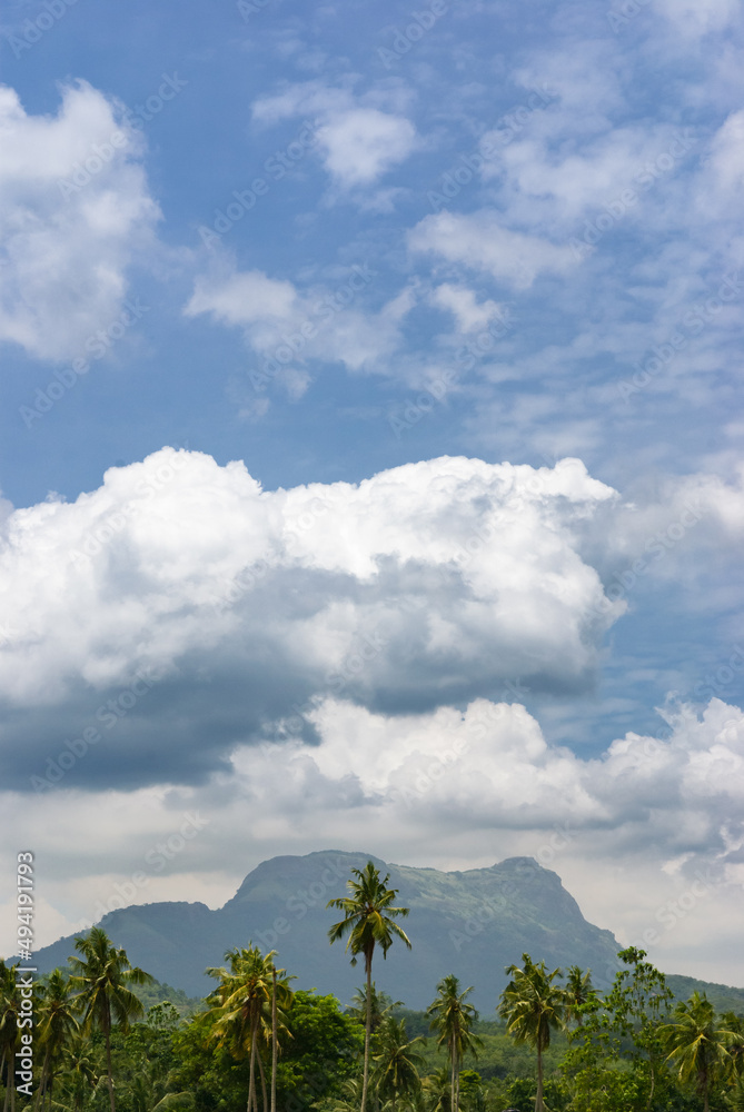 Tropical landscape with mountain in background Tropical landscape with mountain in background
