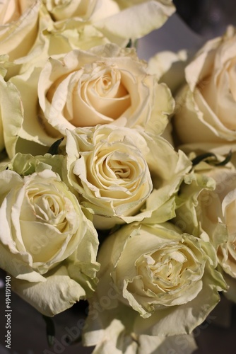 bouquet of white roses