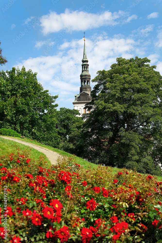 Obraz premium view of medieval tower and field of red roses during summer time