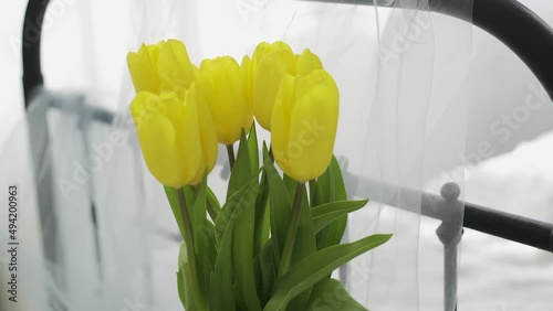 Spring tulips bouquet in vase Video HD