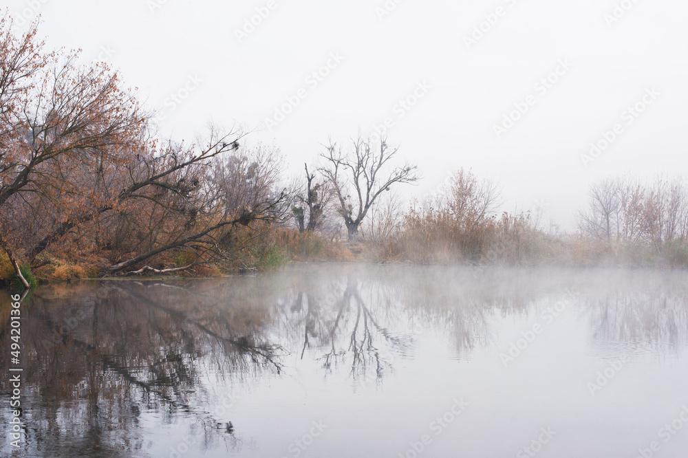 The river bank is covered with fog. Reflection of the trees growing on the shore in the water. Autumn landscape. The river bank is covered with fog. Reflection of the trees growing on the shore in the water. Autumn landscape.