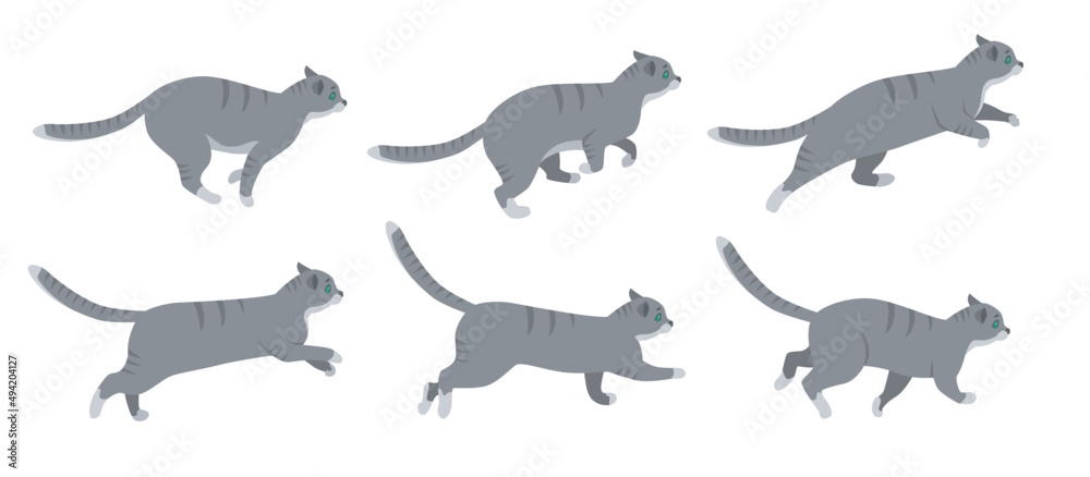 Cute cat cartoon character running vector illustrations set. Animation  frames of kitten in action, pet on walk or in chase after mouse isolated on  white background. Animals concept for game design Stock