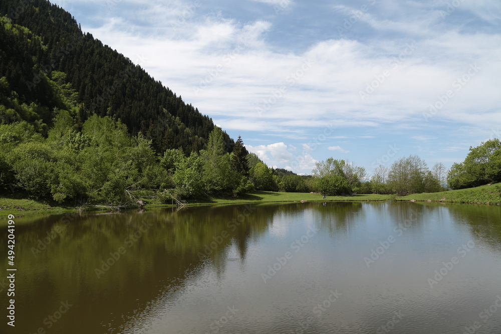 magnificent lake view in the forest.ARTVİN.TURKEY magnificent lake view in the forest.ARTVİN.TURKEY