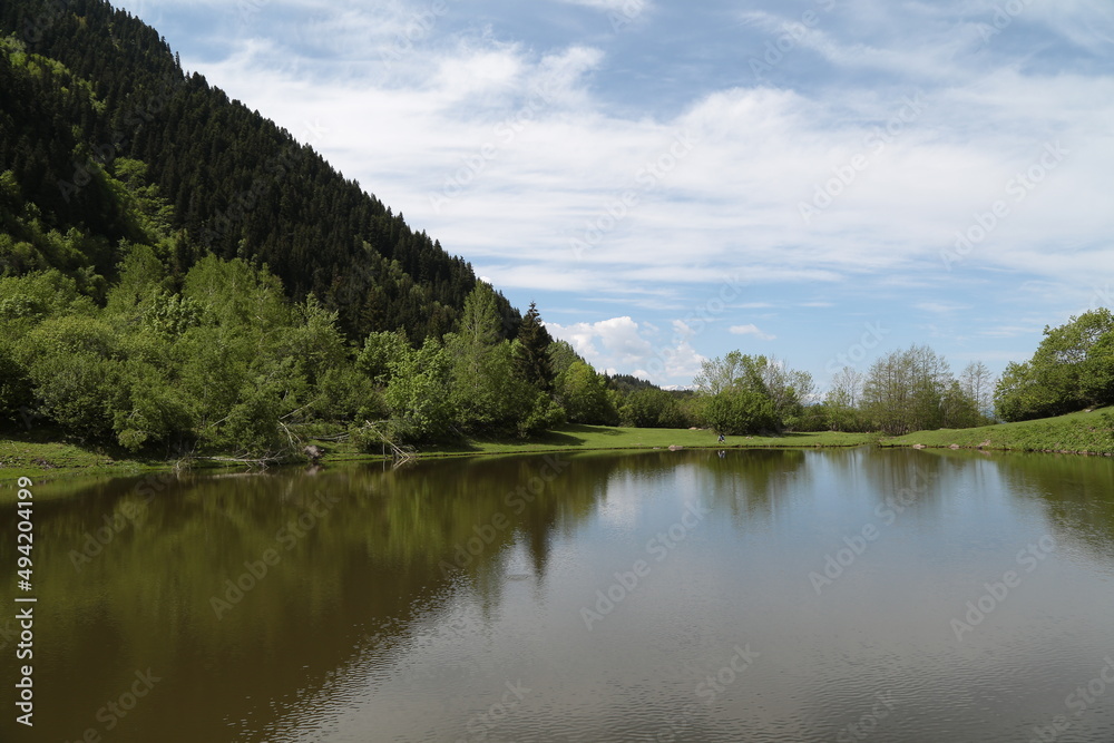 magnificent lake view in the forest.ARTVİN.TURKEY