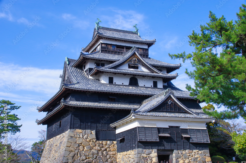 Fototapeta premium 松江城 天守