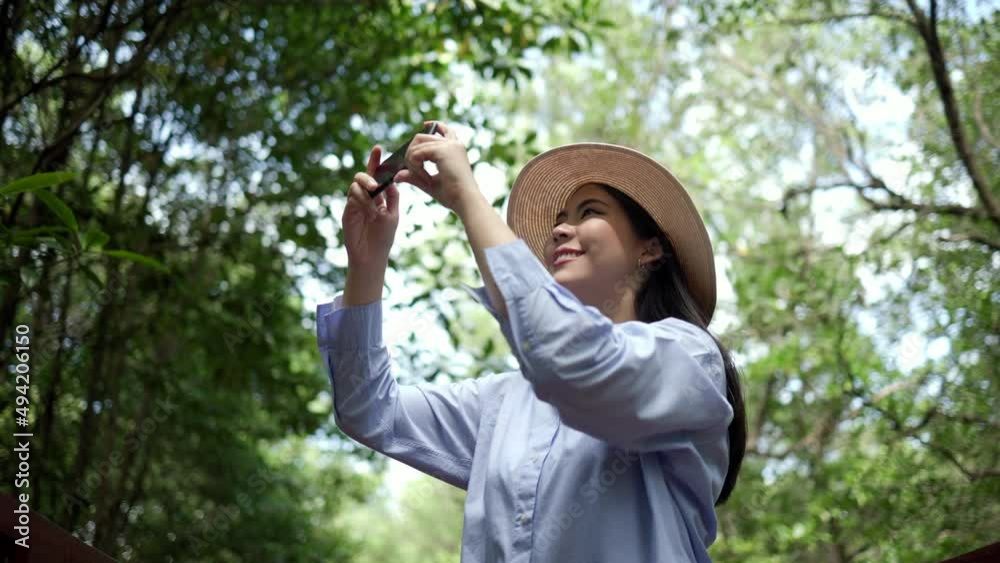 Asian woman travel using cell phone taking video and photo in nature with sunlight. Traveller blogger in mangrove forest. Rest on vacation holiday weekend. Beautiful female with hat and blue shirt Asian woman travel using cell phone taking video and photo in nature with sunlight. Traveller blogger in mangrove forest. Rest on vacation holiday weekend. Beautiful female with hat and blue shirt