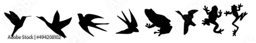 Photography Set of silhouettes of wild animals: hummingbirds, ducks, swallows, frogs without