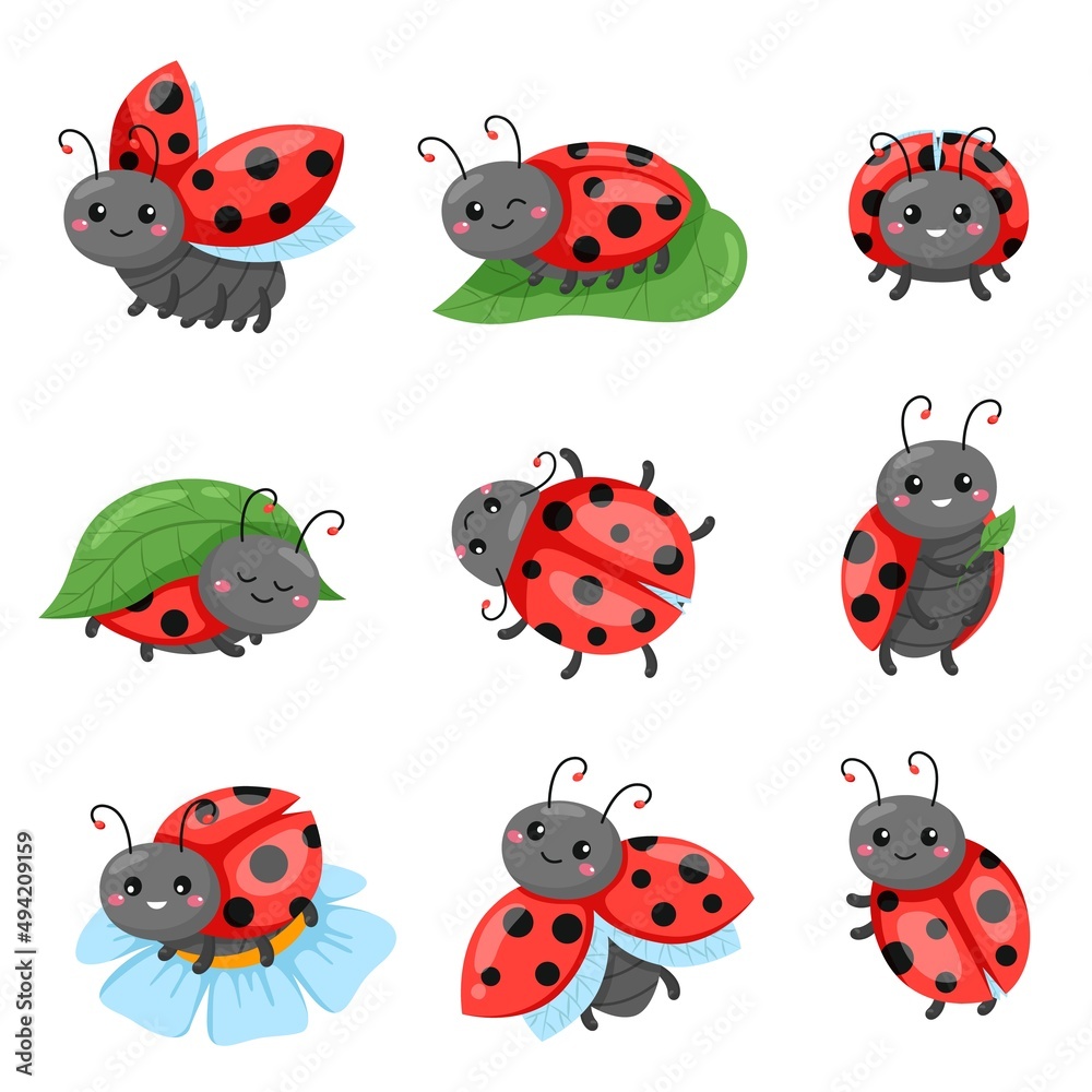 Cartoon ladybug. Funny cute red beetle with polka dots pattern, flying and crawling adorable insect characters, different poses on leaf or flower sitting, happy emotions vector isolated set Cartoon ladybug. Funny cute red beetle with polka dots pattern, flying and crawling adorable insect characters, different poses on leaf or flower sitting, happy emotions vector isolated set