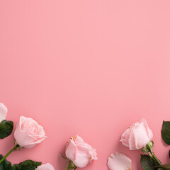 Mother's Day design concept background with pink rose flower on pink background.
