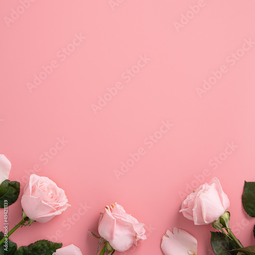 Mother's Day design concept background with pink rose flower on pink background.