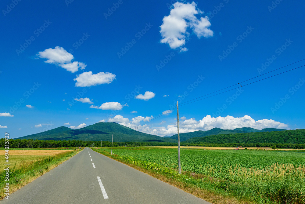 Fototapeta premium 田舎道
