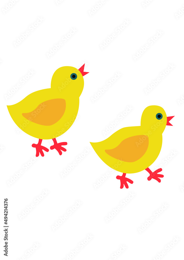 Chicken in bright colors, farm birds. Cute and funny colorful chicken cartoon vector illustration isolated on white background. 