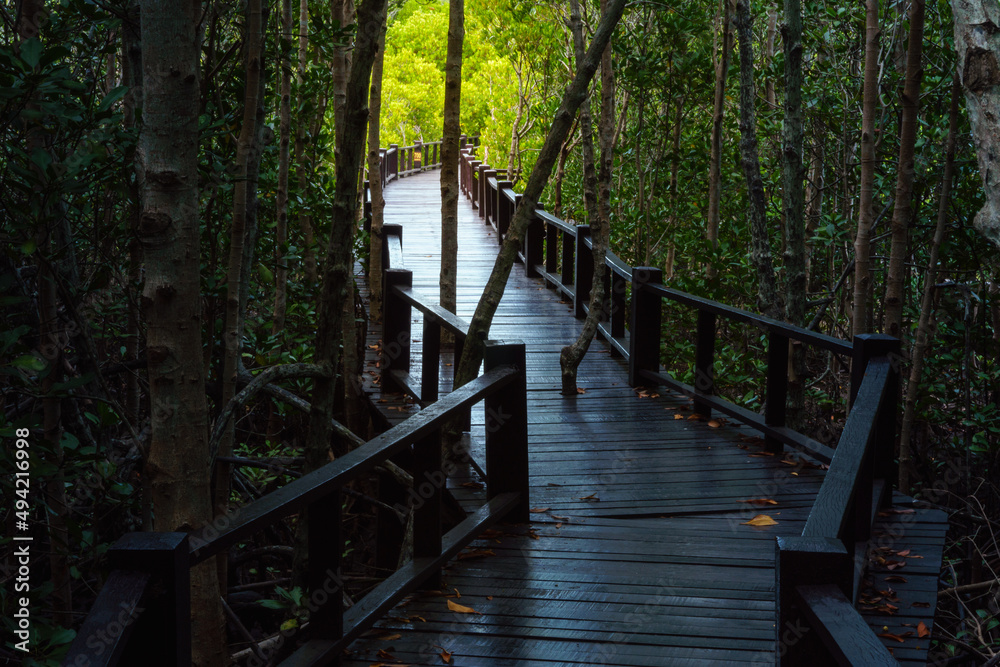Wooden bridge in the forest. Mangrove forest park,  Pran Buri, Prachuap Khiri Khan province in Thailand.