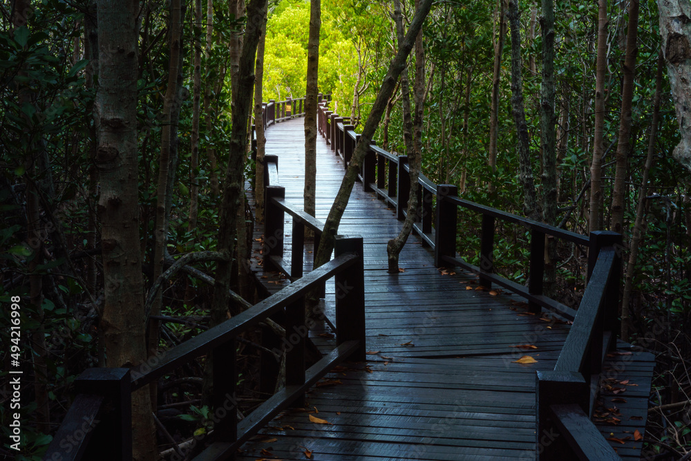 Wooden bridge in the forest. Mangrove forest park, Pran Buri, Prachuap Khiri Khan province in Thailand. Wooden bridge in the forest. Mangrove forest park, Pran Buri, Prachuap Khiri Khan province in Thailand.