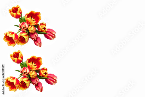 Beautiful yellow and red tulip flowers lie on a white background. Isolate, space for text, top view. Gift for a holiday to a woman and a girl. © natabook2015
