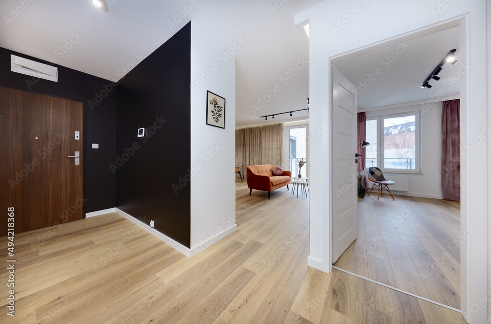 Obraz premium Przedpokój hall w stylowym apartamencie