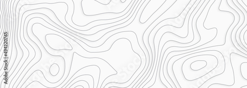 White gray topographic line contour map background, geographic grid map,  white wave paper curved reliefs abstract background on concept of a conditional geography scheme and the terrain path. 