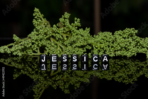 Mote alphabet blocks arranged into the name "Jessica" on a green plant background.