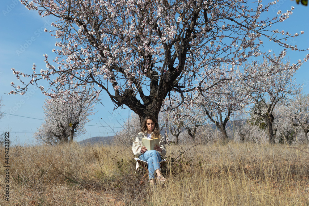 Landscape panorama with seated woman reading book under an almond tree Landscape panorama with seated woman reading book under an almond tree