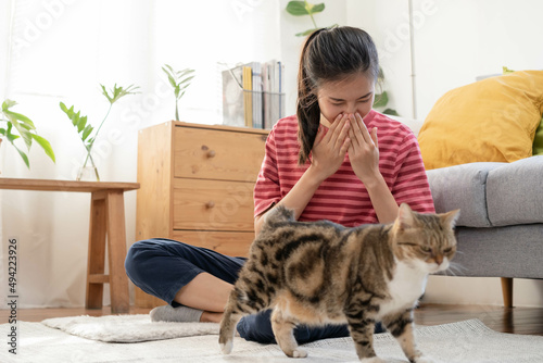 Asian young woman, girl hand in sneezing from fur allergy while playing with her lovely cat, pet on carpet in living room at home, apartment. Health care rhinitis diseases allergic to animal hair. photo