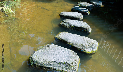 Photography Stepping stones path over a pond