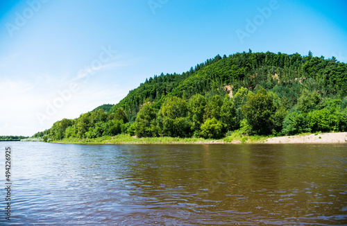 Green forest and a lake