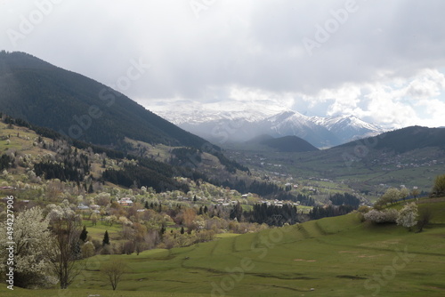 amazing spring landscapes on a sunny day.ARTVİN.TURKEY