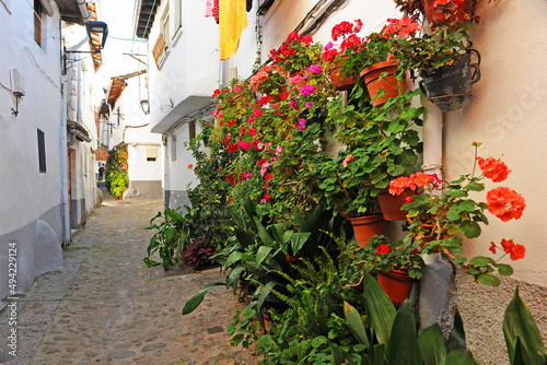 Calle con flores y macetas en el barrio judío de Hervás, provincia de Cáceres, Extremadura, España