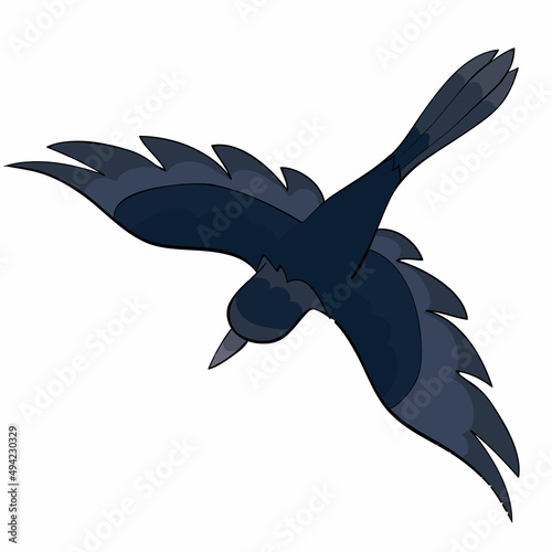cartoon illustration, magpie bird soars in the sky with wide spread wings, isolated object on a white background, vector,