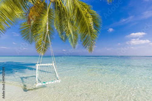 Tropical beach background. Summer landscape, swing on palm tree over calm sea lagoon. White sand, leaves paradise shoreline. Exotic travel destination, fun and love vacation travel. Luxury destination