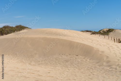 A view of the sand dunes near Maspalomas Gran Canaria