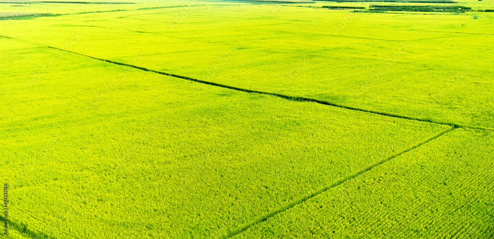 High angle view of farmland in China High angle view of farmland in China