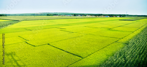 High angle view of farmland in China