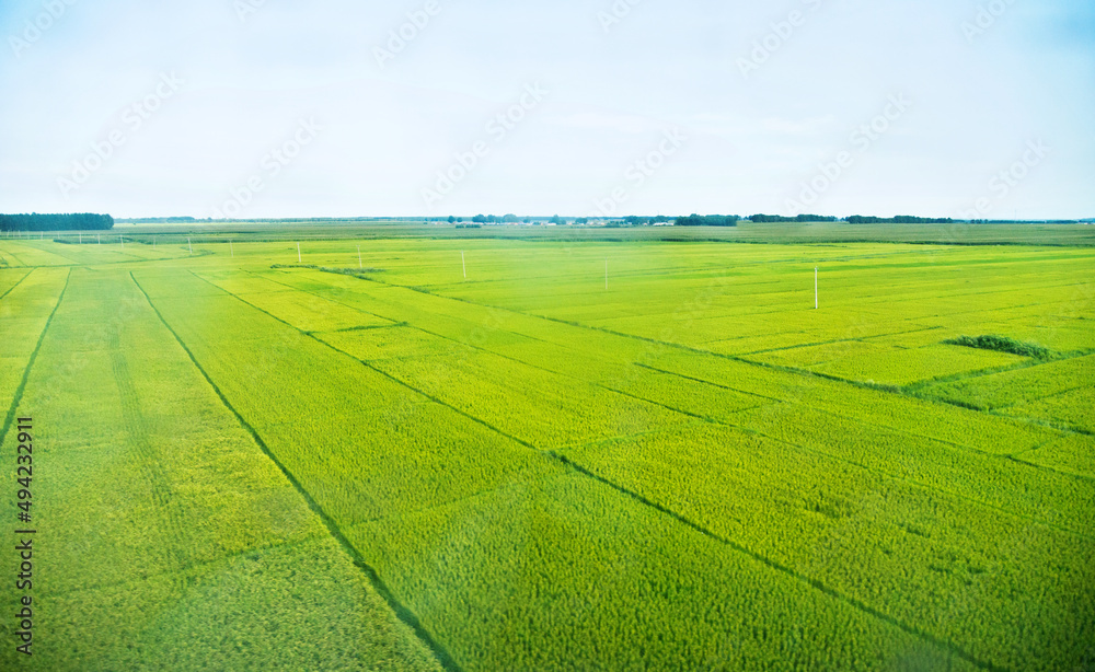 Fototapeta premium High angle view of farmland in China