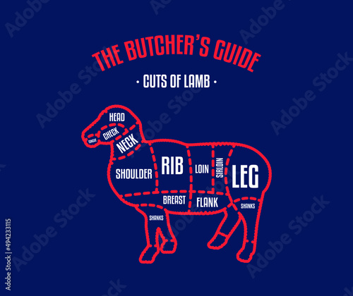 Meat and Beef cuts. Diagrams for butcher shop. Scheme of beef. Vector illustration. Beef butcher's guide. Used for cooking steak and roast - t-bone, rib eye, porterhouse, tomahawk, etc.