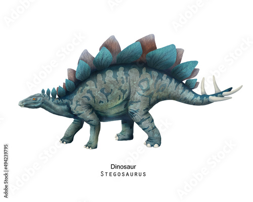 Stegosaurus illustration. Dinosaur with crest on back. © inna72