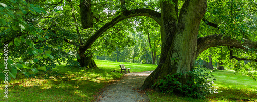 Ruhebank in einem schönen Park
