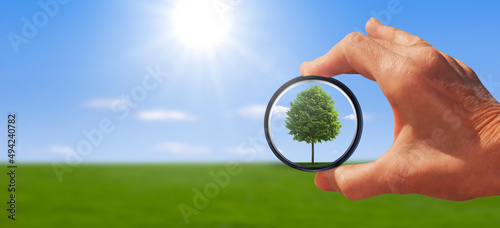Blick durch ein Glas mit Fokus auf eien grünen Baum