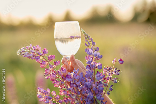 Woman holds a wine glass with purple lupinus in the meadow at sunset. Wellness and natural concept. Adaptogenic ayuverdic drink concept. Conscious consumption photo