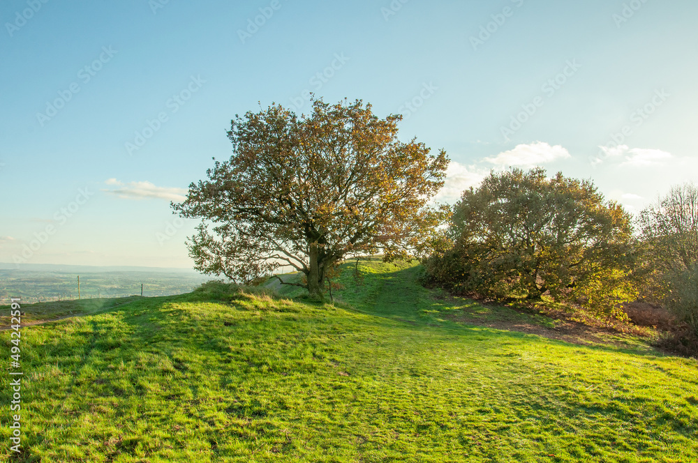 Fototapeta premium Autumn colours in the Malvern hills of England.